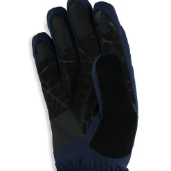 Gloves | Resort*Spyder Mens Overweb Gtx - True Navy TRUENAVY